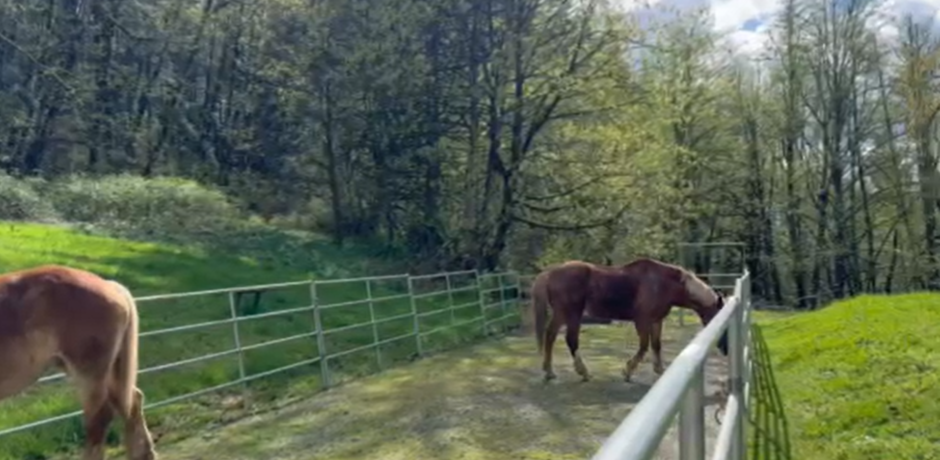 Screenshot 2026 02 21 151819