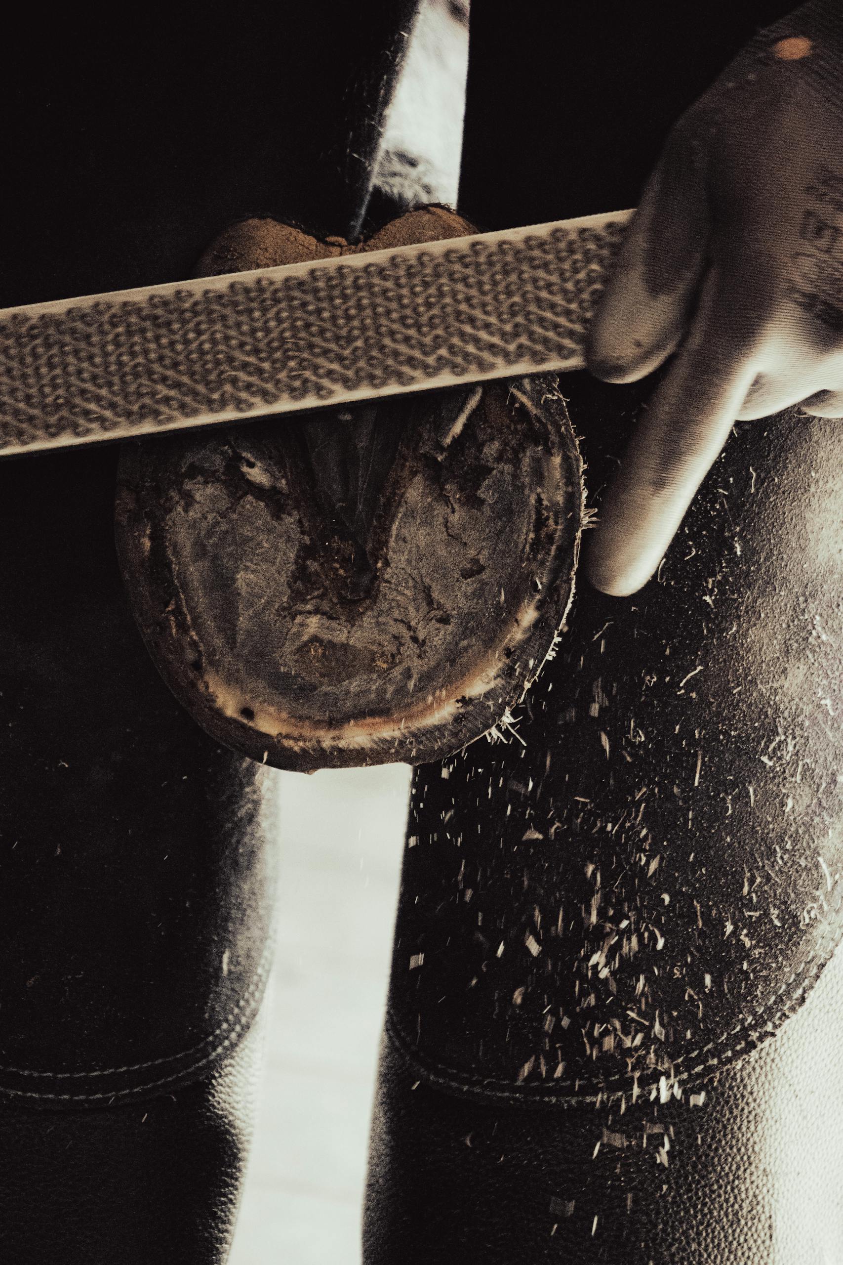 Detailed view of farrier filing horse hoof, showcasing equestrian craftsmanship and care.