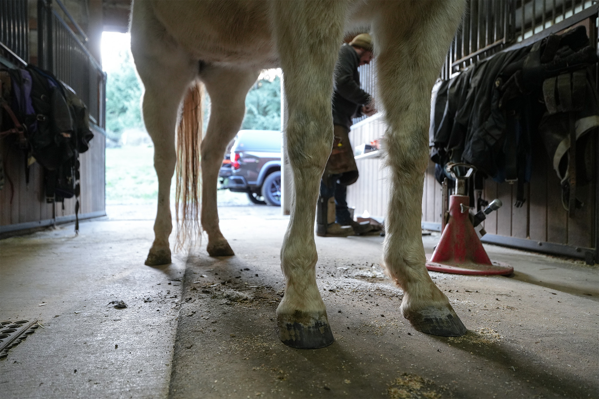 A Healthy Hoof 7 DSC02462