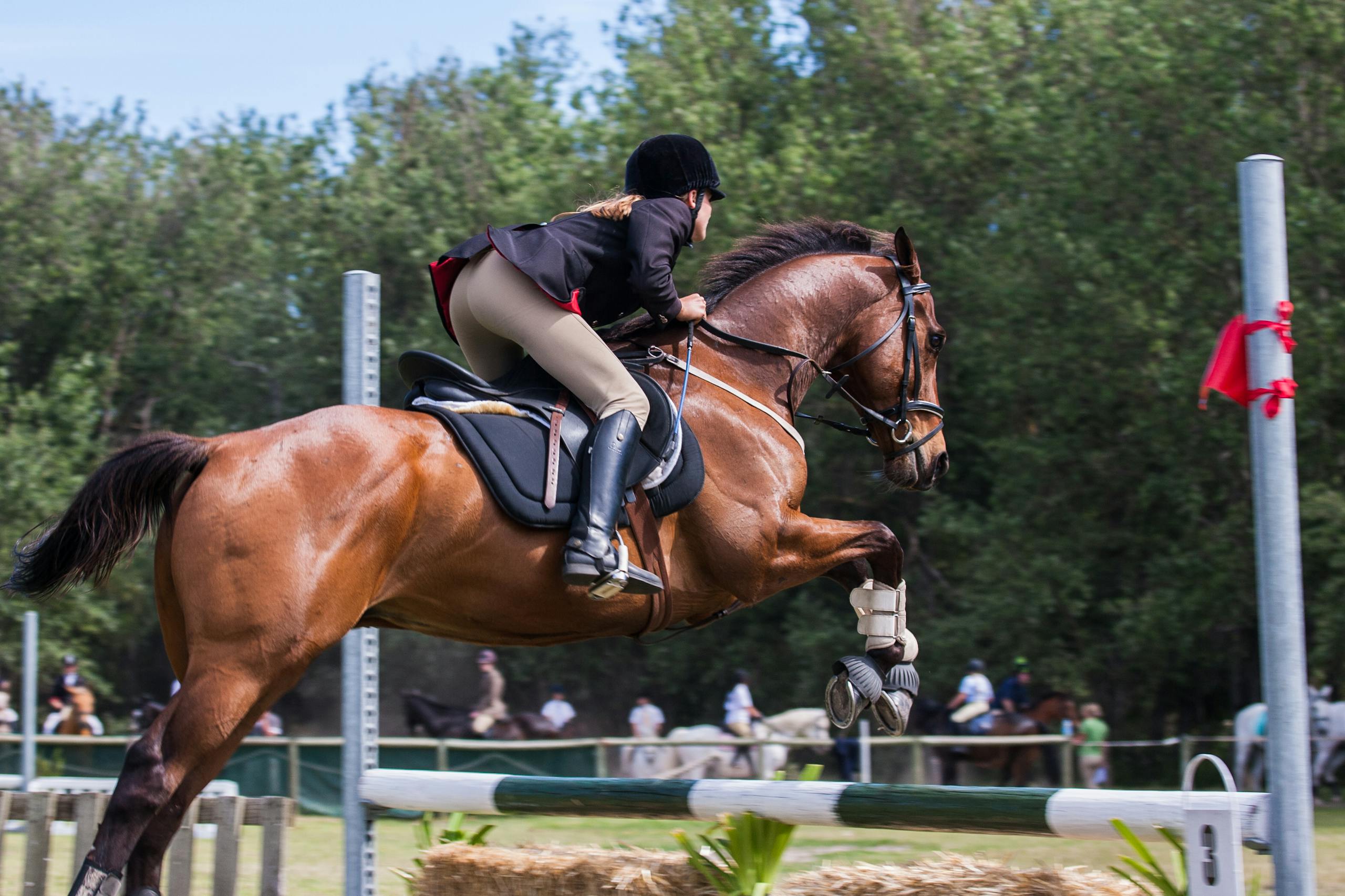 A Healthy Hoof 4 A woman jockey skillfully jumps with her horse in an outdoor equestrian competition.