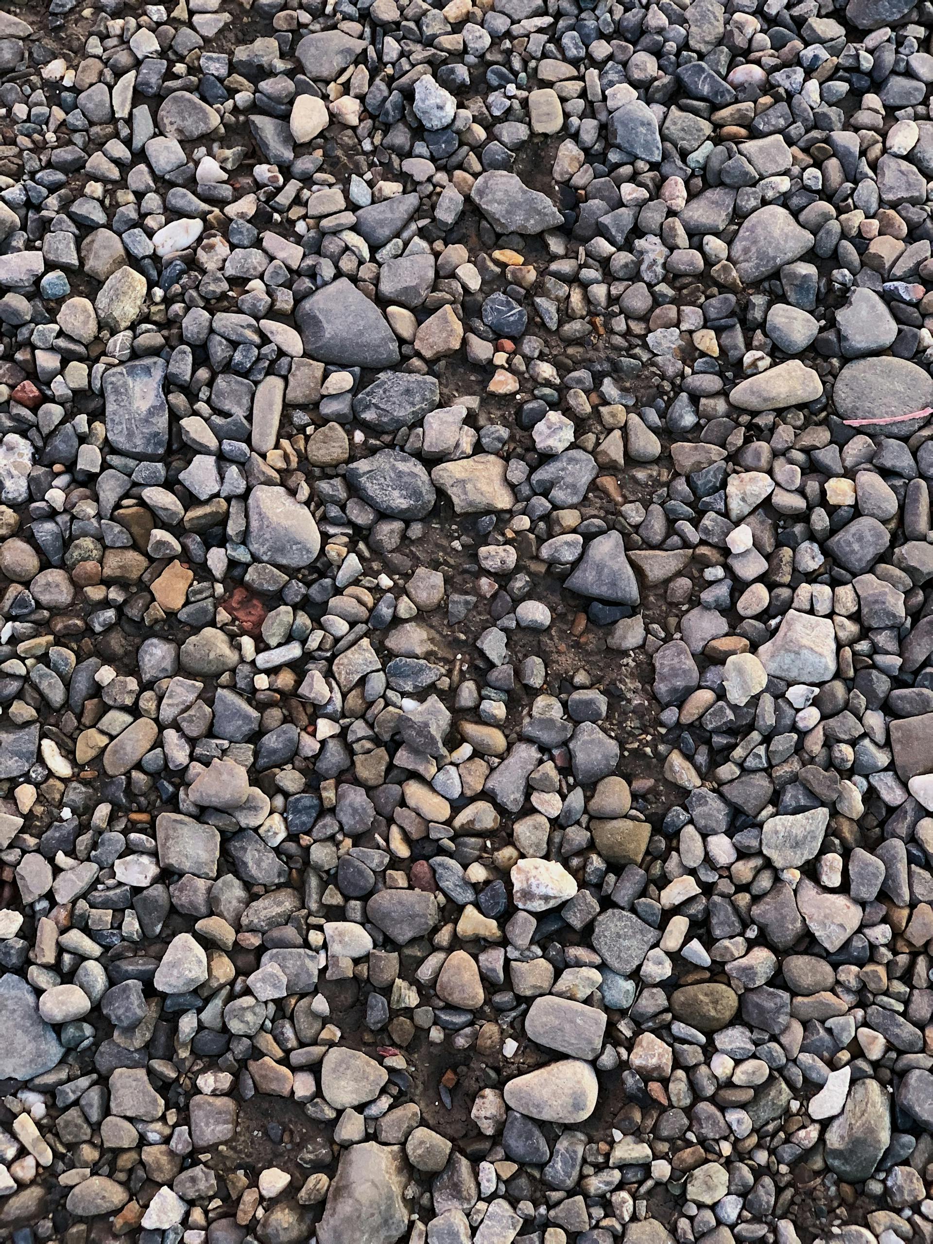 A Healthy Hoof 2 High-resolution texture of natural pebbles and stones on a surface, ideal for backgrounds.