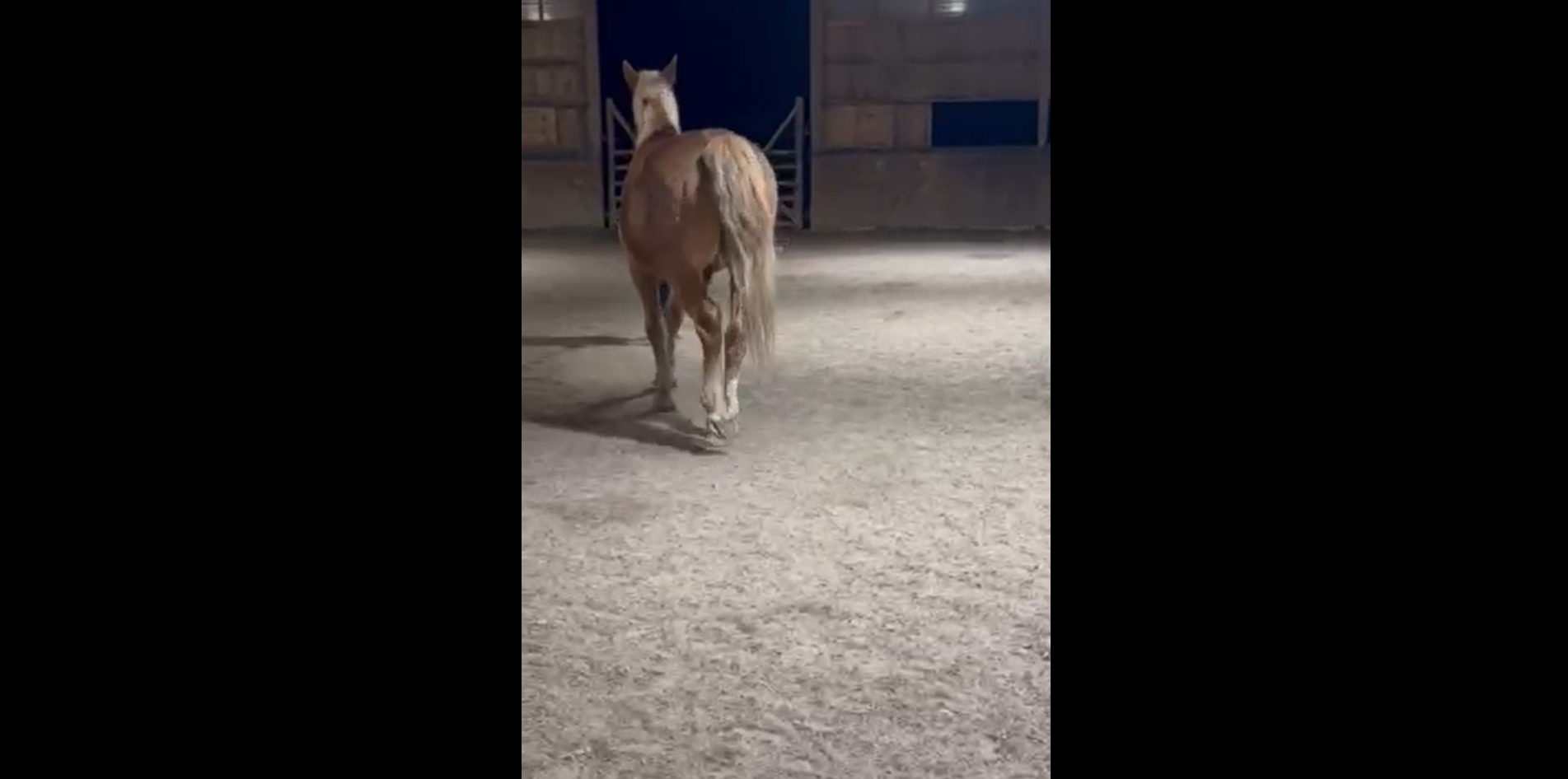 Screenshot 2026 02 21 151238